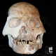 Illustration for article titled Scientists may have just discovered a brand new species of human